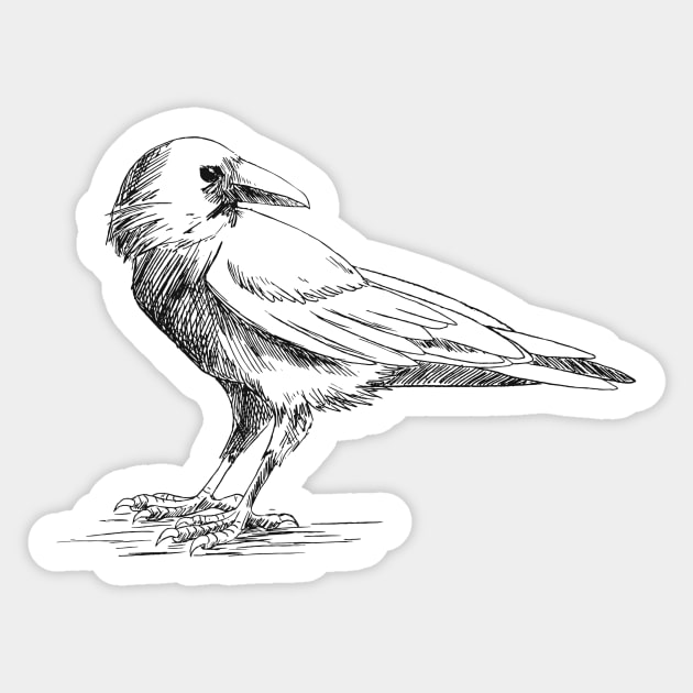 Vintage Crow Sticker by Illume Stickers